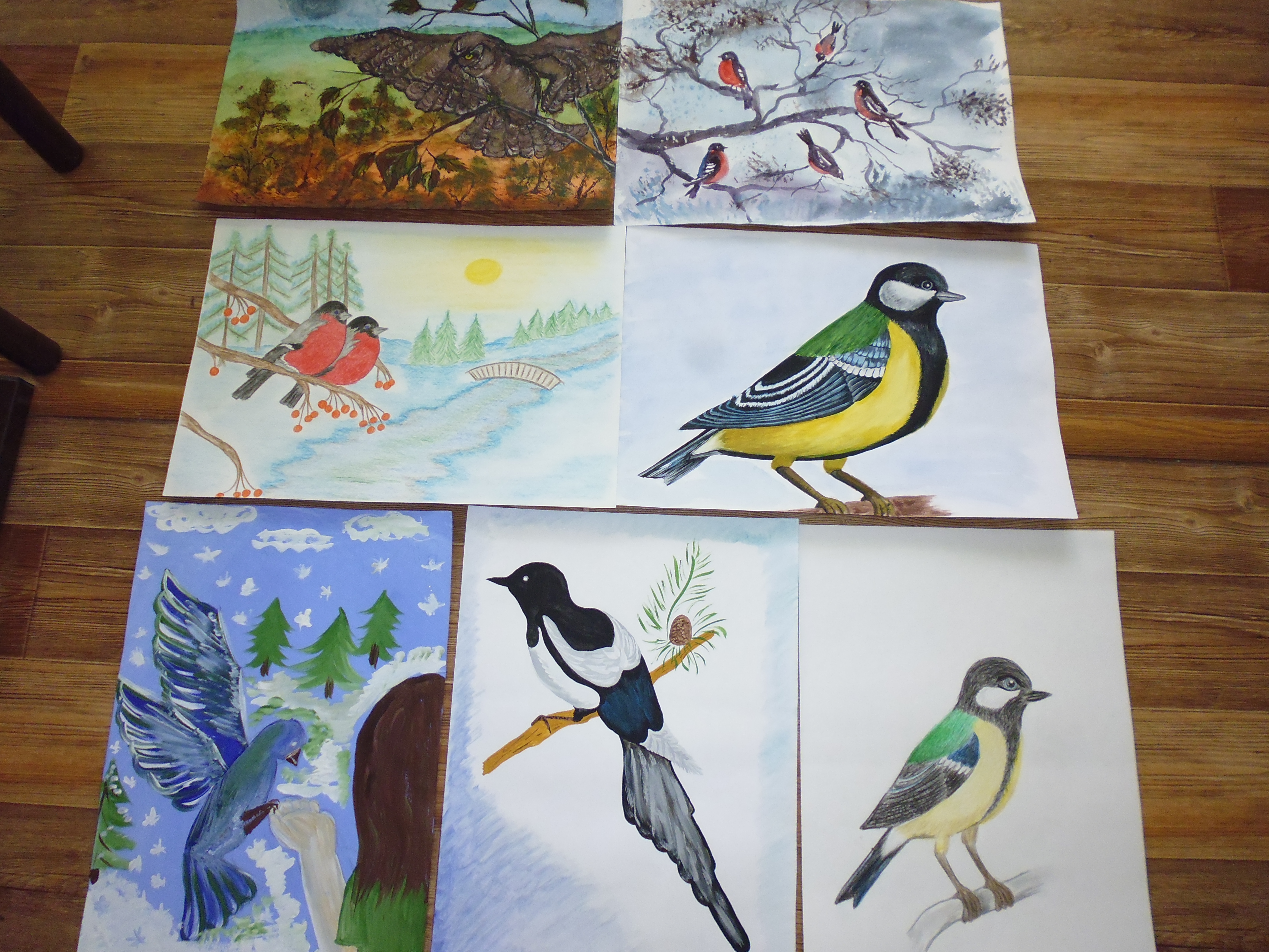 Конкурс рисунков птицы